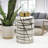 Elements Ceramic Ginger Jar