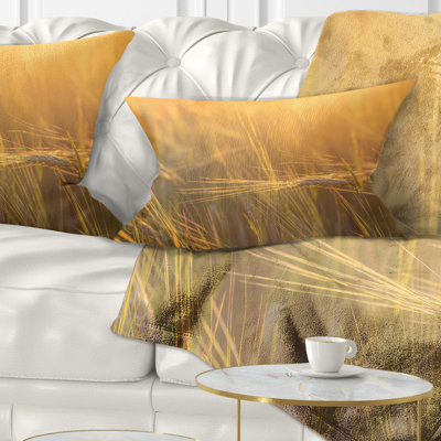 Coussin lombaire avec champ de blé
