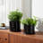Geometric Design Ceramic Planters with Saucer for Indoor, Outdoor and Patio Use - Modern Home Accent Flower Pots for Living Room Decor - Set of 2, White-184779040-184978426