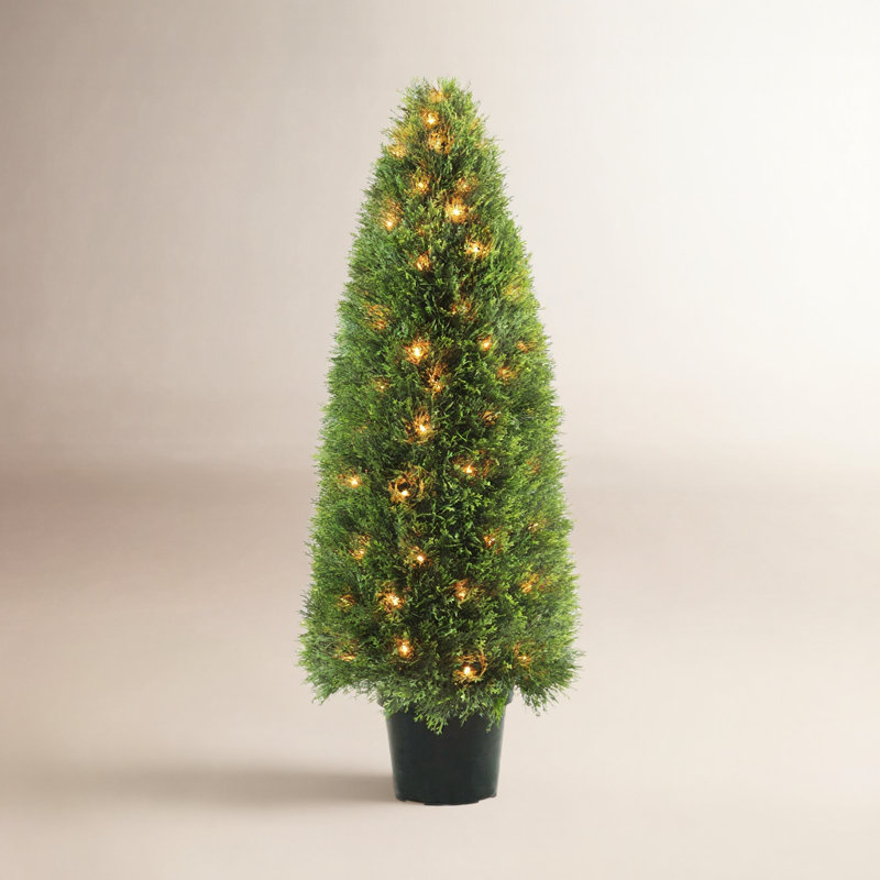 Moss Topiary in Pot, 48" H x 17" W x 17" D