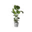 Greenville Planter-50010067-50010068