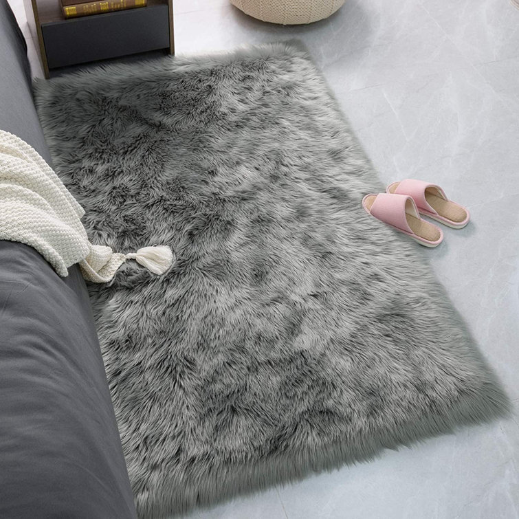 Indoor Rug