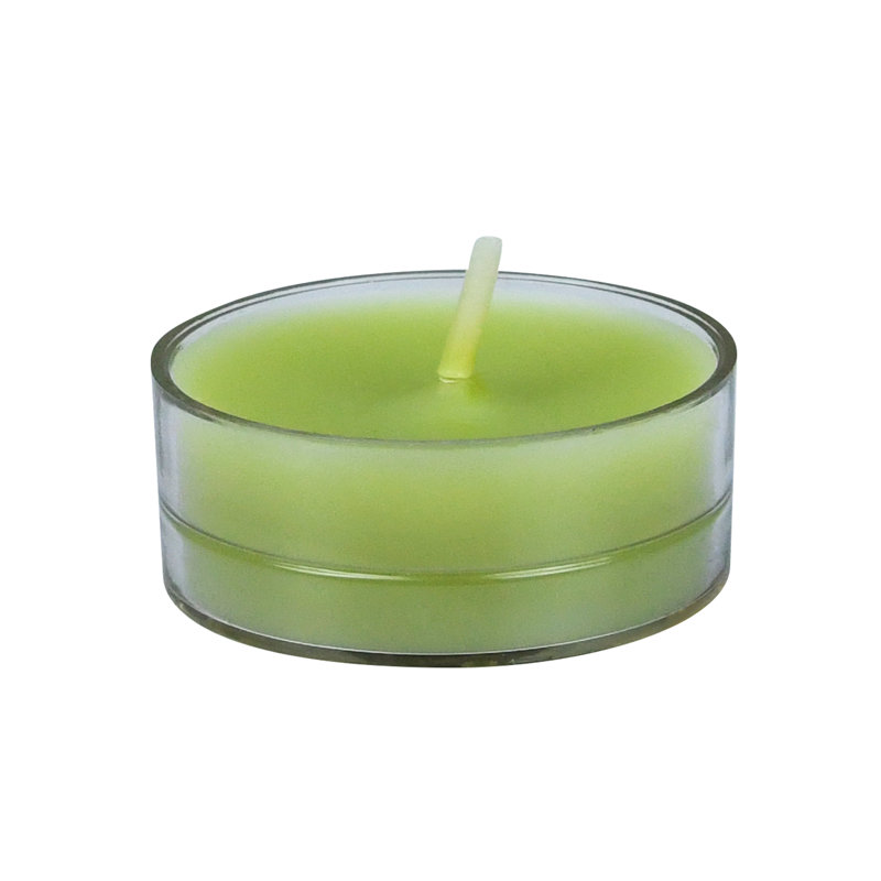 Bougie photophore sans parfum, Sauge vert, Ensemble de 50