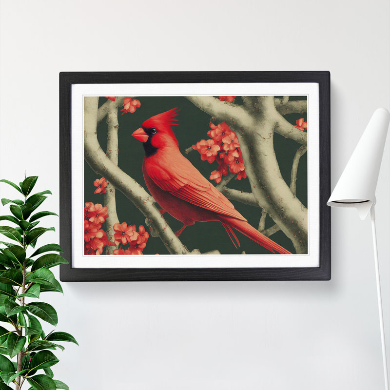 Cardinal Bird Vol.14 - Single Picture Frame Print, Black Framed, 46cm H x 64cm W x 2cm D
