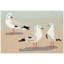 Tapis de cuisine Boller-1058271156