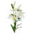 Lillies Arrangement