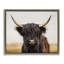 Portrait de vache Highland-982288478-988972111