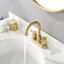 2-handle Bathroom Faucet