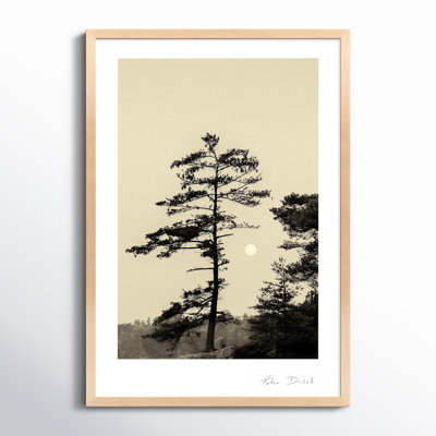 Garden Sign "Serenity" Print by Peter Dušek