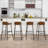 Starcena Counter Stool with Iron Frame-1902245952