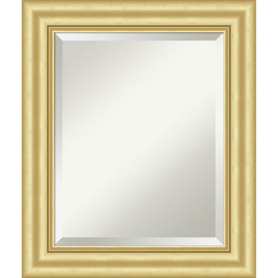 Sophia Beveled Framed Wall Mirror