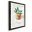 Sauge en pot - peinture-426400174-426400179