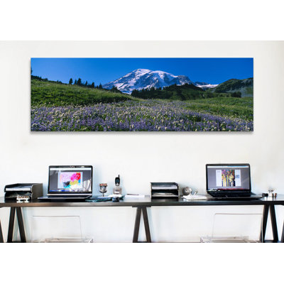 «Panoramic Wildflowers on a Landscape, Mt Rainier National Park, Washington State», reproduction de photo sur toile