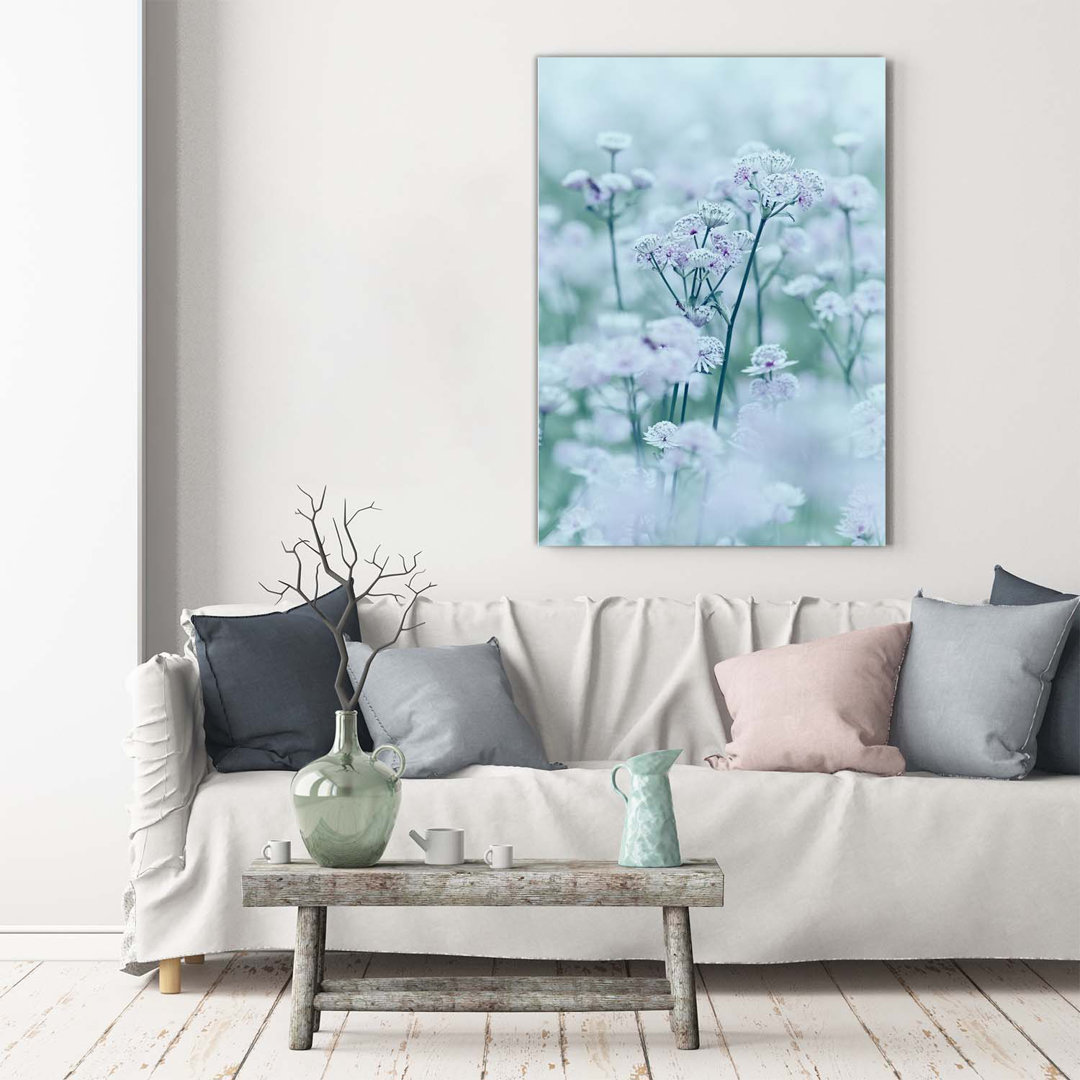 Astrantia - Kunstdrucke auf Leinwand - Wrapped Canvas