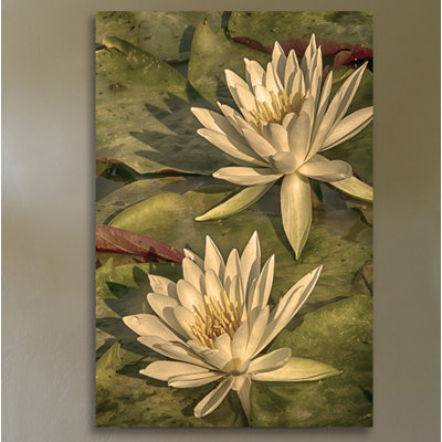 Dano - Wrapped Canvas Print