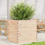 2 Wood Planter-100491985-100491984