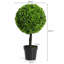 60 cm H Faux Boxwood Topiary Plant in Plastic Planter