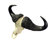 Real Cape Buffalo Skull