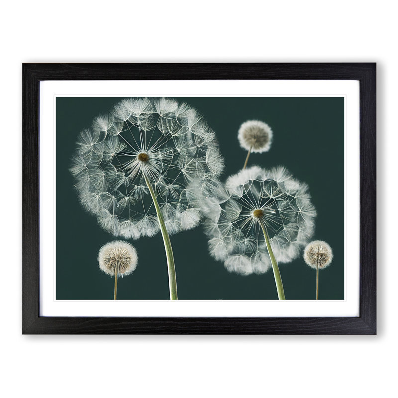Magical Dandelion Flowers - Framed Print, Black, 46cm H x 64cm W x 2cm D