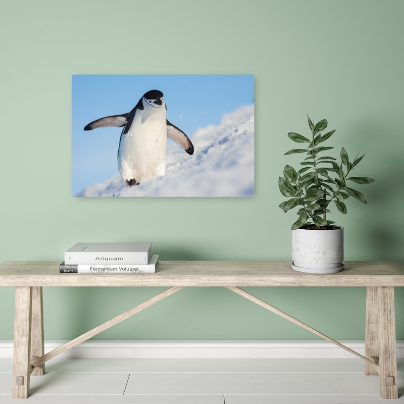 Playful Penguin Slide Playful Abstract Contemporary Bird Penguin Landscape Nature Wall Art Print, 40.64cm H x 60.96cm W