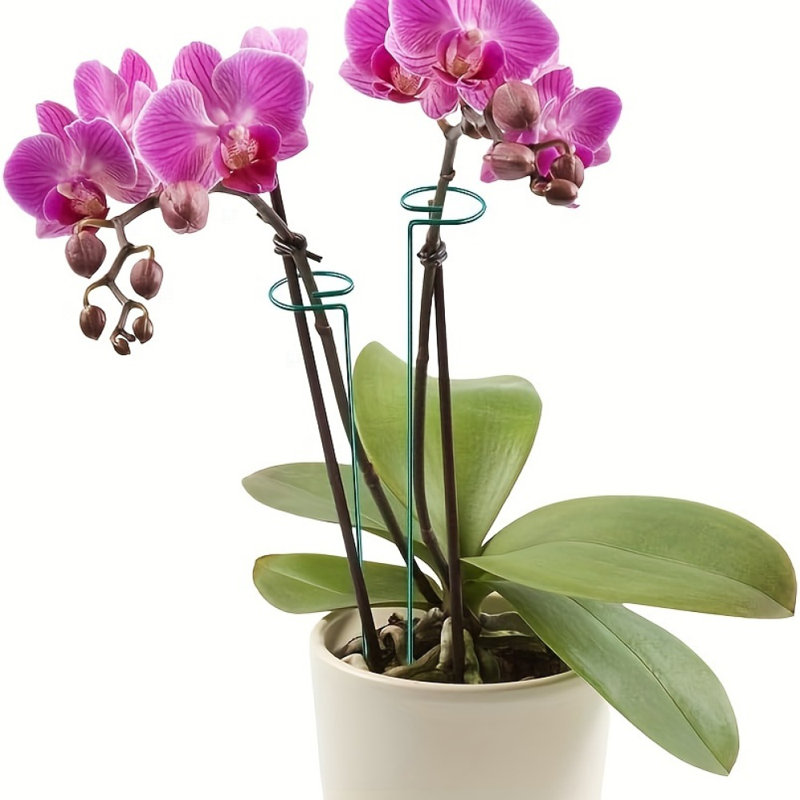 Tige de soutien pour plante grimpante en fer forgé 40 Cm * 6, 20 boucles pour plantes, 6 inserts pour étiquettes, 10 attaches de câble