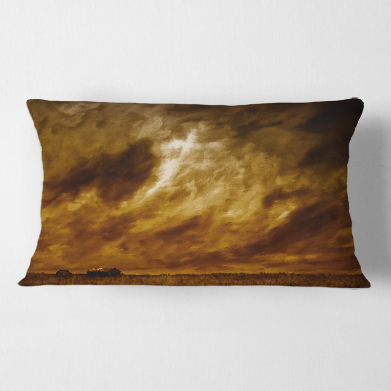 Throw Pillow