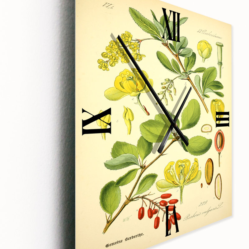 Horloge murale, Petit