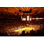 Madison Square Garden