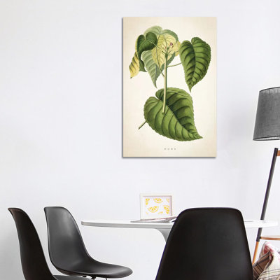 Hura Botanical 1 Piece Wrapped Canvas Painting