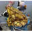Gold Feng Shui Money Frog Table Top Statue