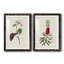 Pretty Pink Botanicals VI - Ensemble de 2 reproductions de cadres photo-1481787813-1481787814