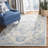 Cuvier Hand Tufted Wool Cotton Oriental Rug in Blue/Ivory-875507250