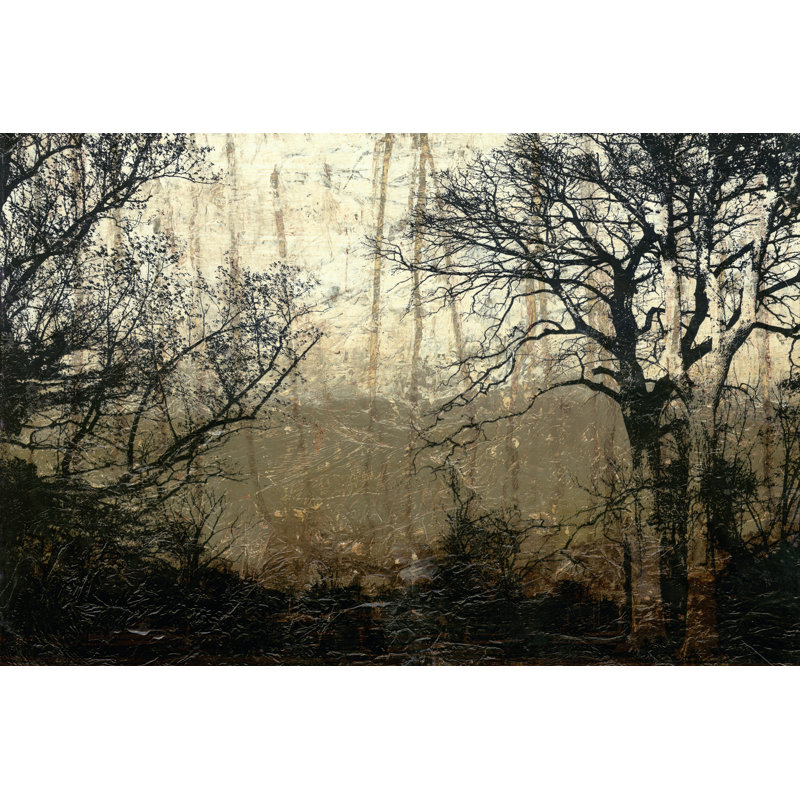 Wooded Solace II - Wrapped Canvas Painting, 30cm H x 46cm W x 3.8cm D