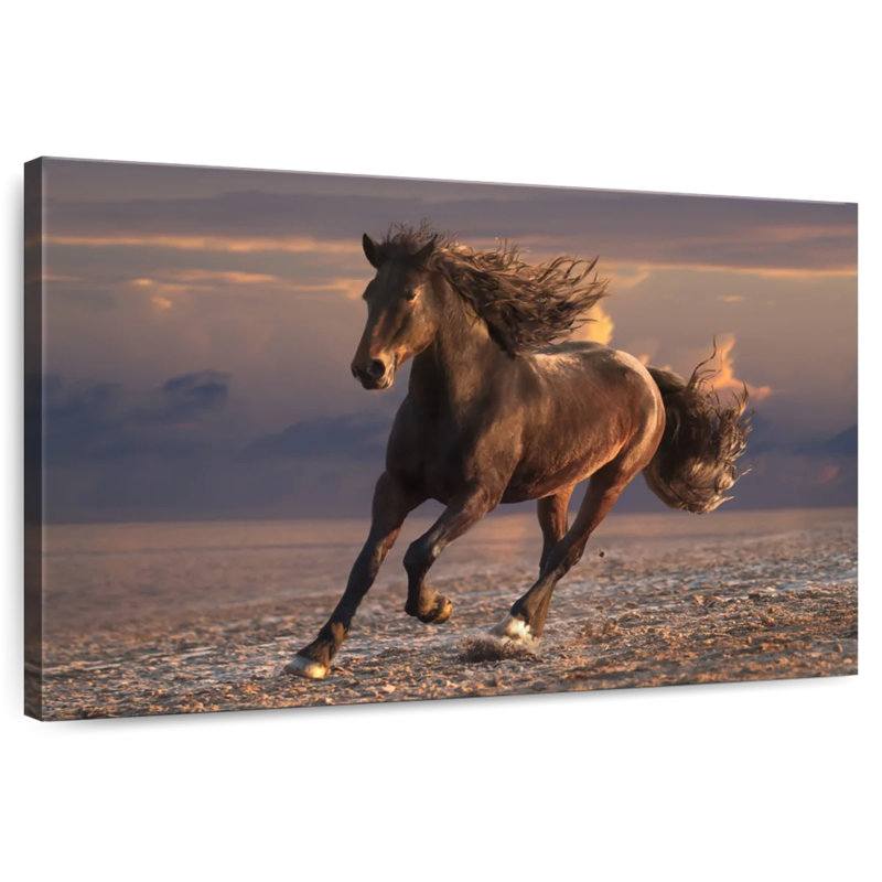 Cheval de plage Brampt, H 20 po x l 30 po