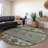 Claritha Green Washable Indoor-Outdoor Rug - LOOMLAN-1425950145