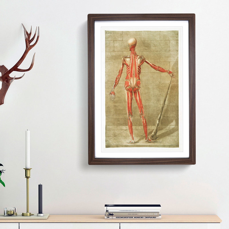 Anatomical Illustration of a Male No. 7 by Gautier-Dagoty - Picture Frame Painting Print, 36cm H x 27cm W x 2cm D