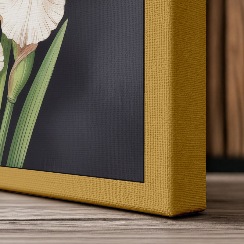 Print, Ochre Border, 24x16 - 61.0 x 40.6 cm