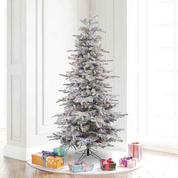 Flocked Slim Christmas Tree With Multi Colored Lights Perigold