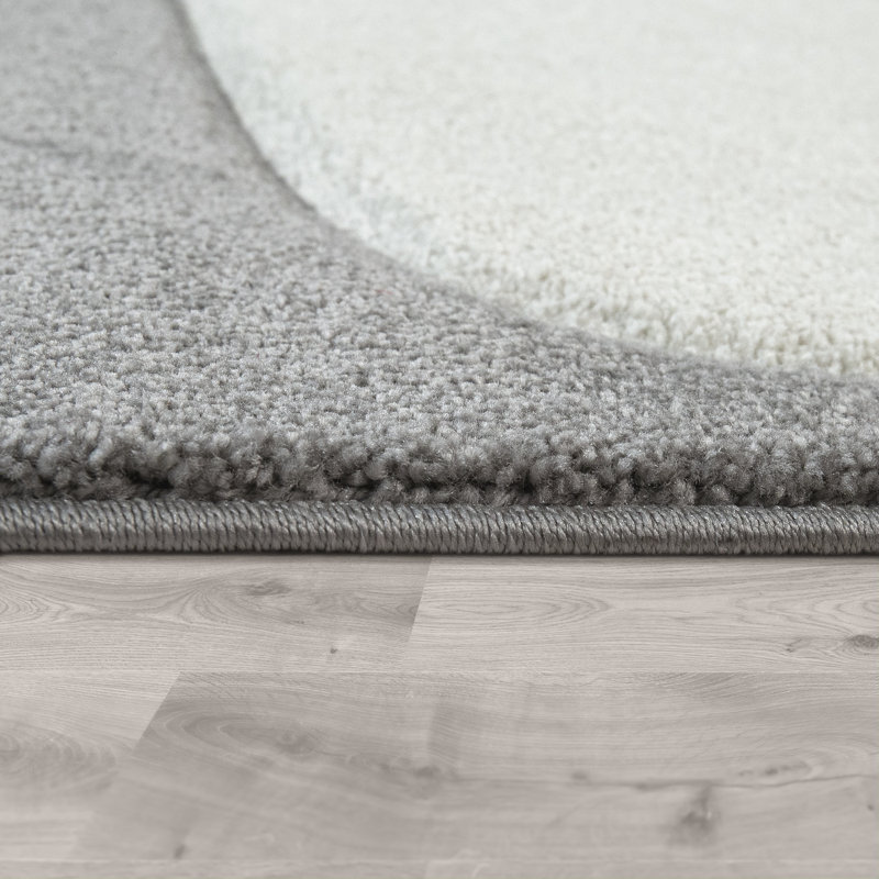 Hotwells Area Rug in Gray/White, Rectangle 6'7" x 9'6"