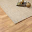 Geometric Jute / Sisal Hand Woven Area Rug-19112366