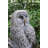 Owl on Stump Statue