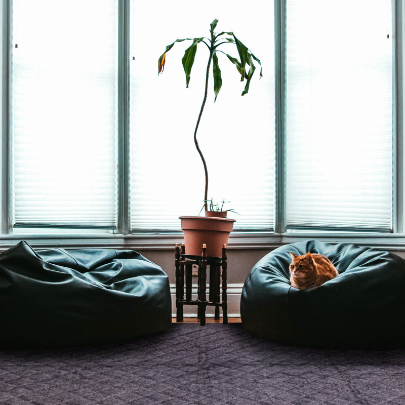 Tapis Eden Flokati Violet 9'8" x 13'7"