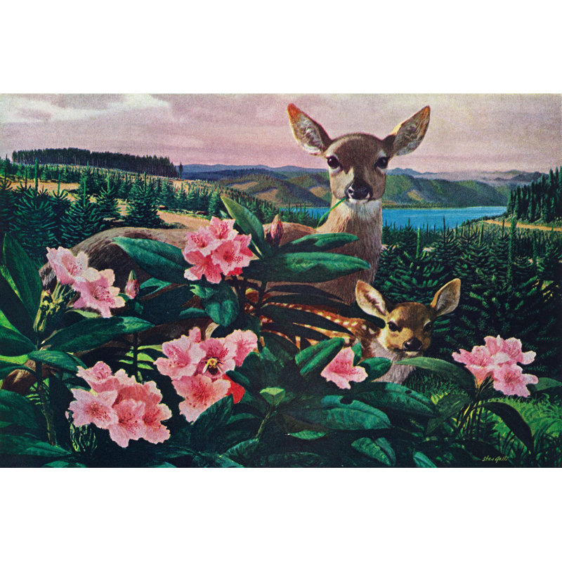 Doe and Fawn 1 Piece Wrapped Canvas Wall Art, 76cm H x 114cm W x 3.81cm D