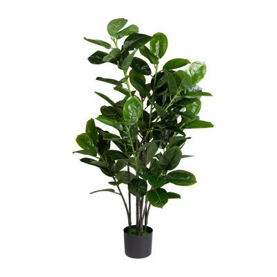 140cm Plant