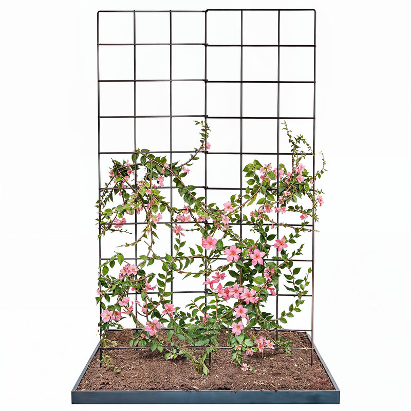 Metal Metal Decoration Trellis