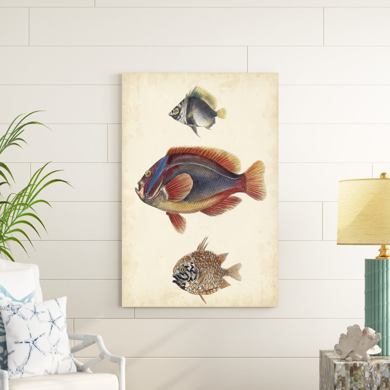 «Antique Fish Species IV», peinture sur toile, H 48 po x l 32 po