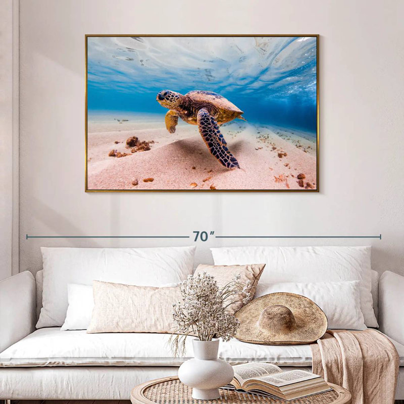 Sandy Turtle, 46" X 31", Floating Frame Gold