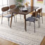 Joah Performance Southwestern Rug-2097783582