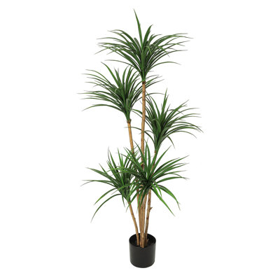 5 Ft Artificial Dracaena Tree, Realistic Fake Dracaena Plant, Tall Dracaena Houseplant For Indoor Décor