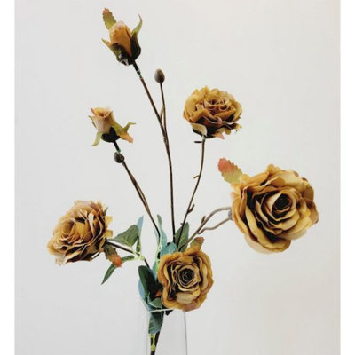 Roses